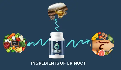 Ingredients-of-Urinoct