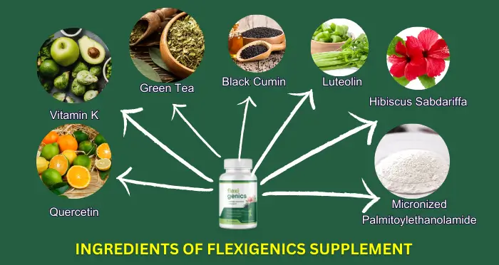 Ingredients of Flexigenics Supplement