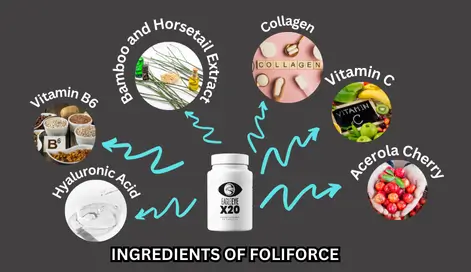 Ingredients of Foliforce