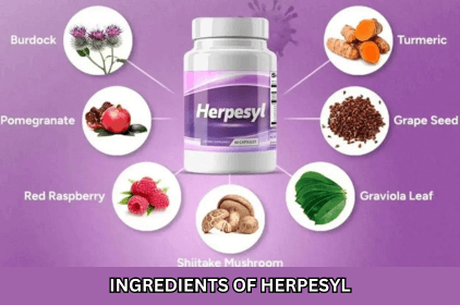 Ingredients of Herpesyl