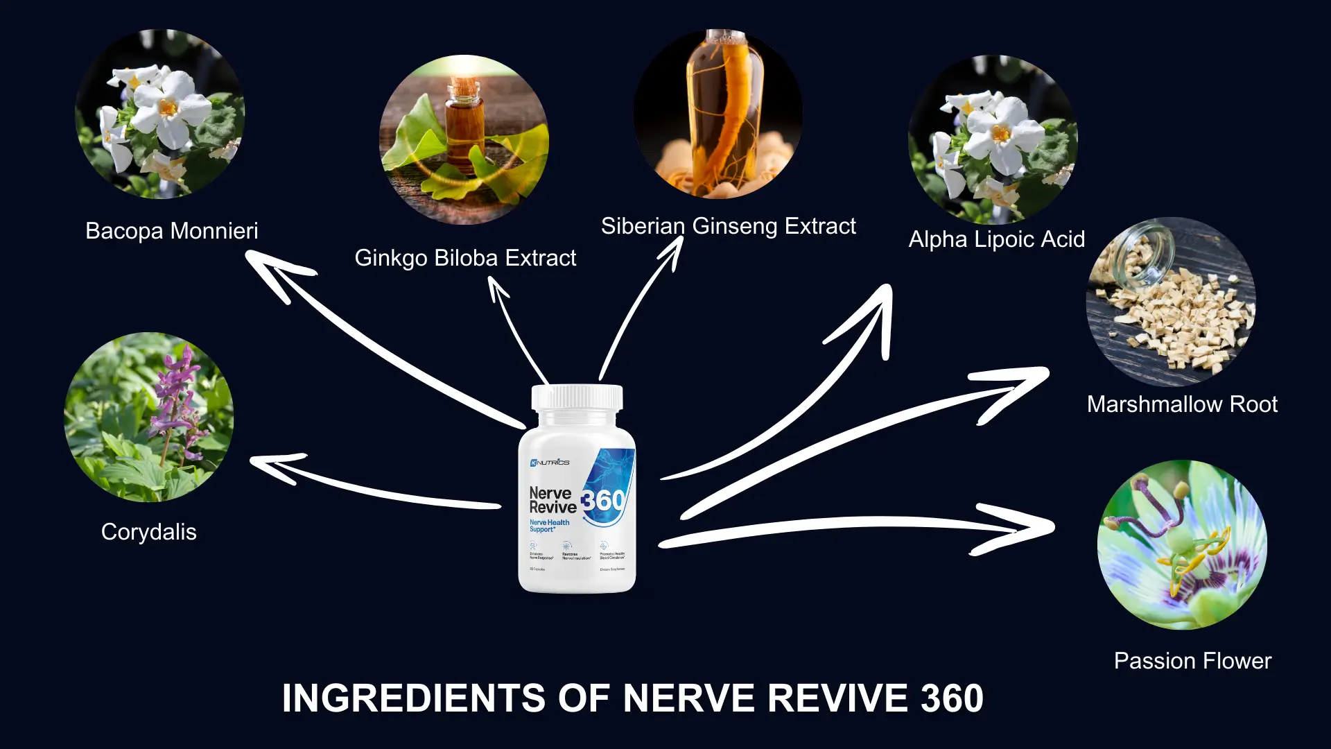 Ingredients of Nerve Revive 360