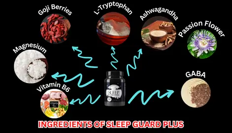 Ingredients of Sleep Guard Plus