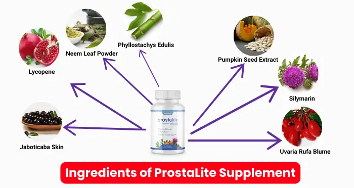 Ingredients of ProstaLite Supplement