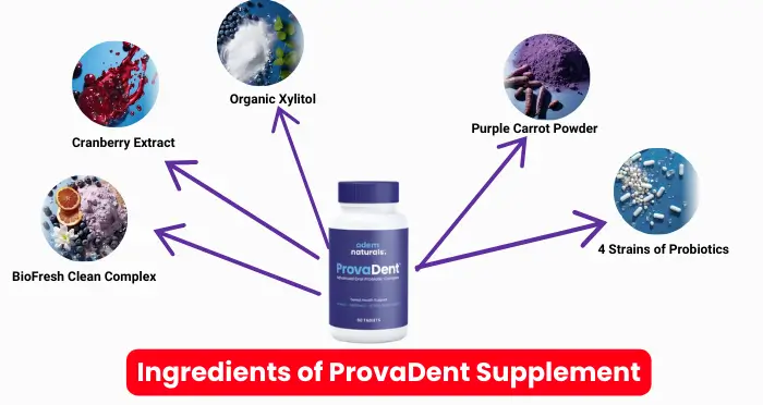 Ingredients of ProvaDent Supplement