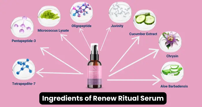 Ingredients of Renew Ritual Serum