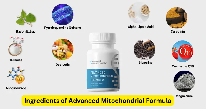 Ingredients of Advanced Mitochondrial Formula