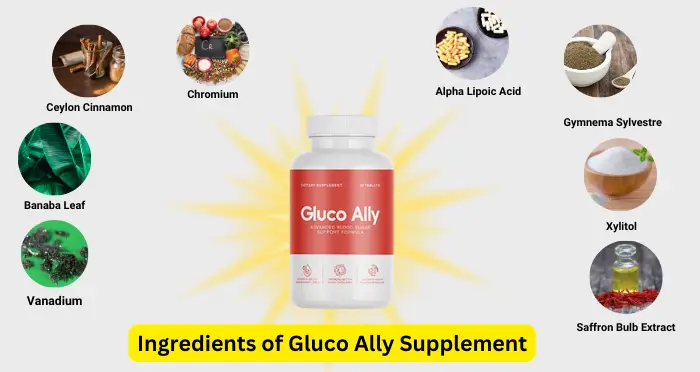 Ingredients of Gluco Ally Supplement