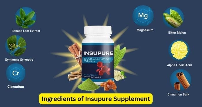 Ingredients of Insupure Supplement