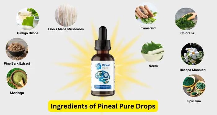 Ingredients of Pineal Pure Drops