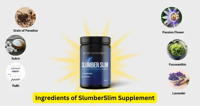 Ingredients of SlumberSlim Supplement