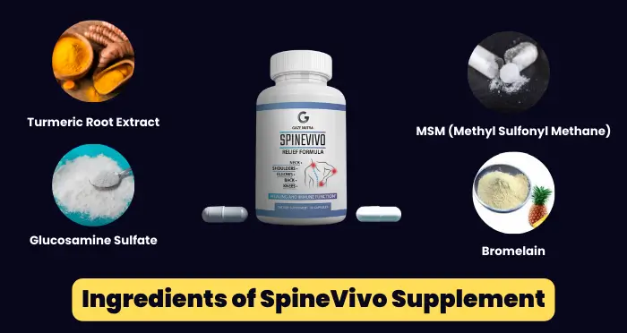 Ingredients of SpineVivo Supplement