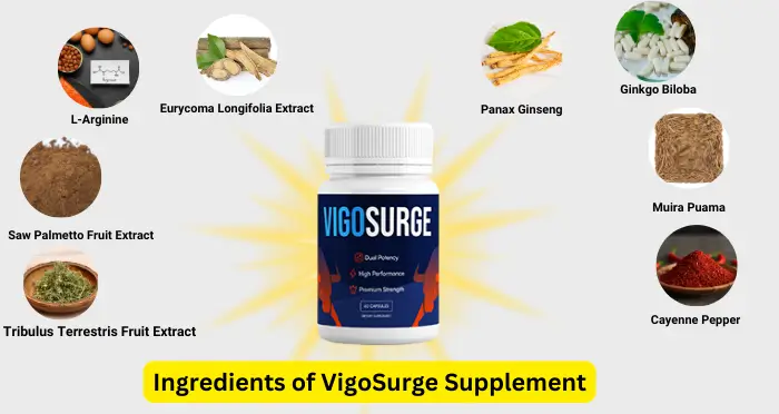 Ingredients of VigoSurge Supplement