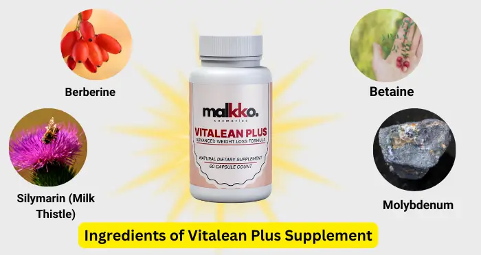 Ingredients of Vitalean Plus Supplement