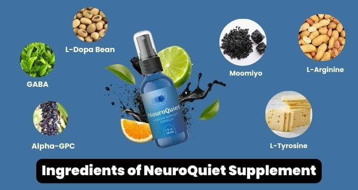 Ingredients of NeuroQuiet Supplement