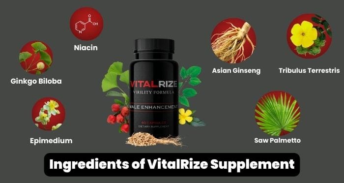 Ingredients of VitalRize Supplement