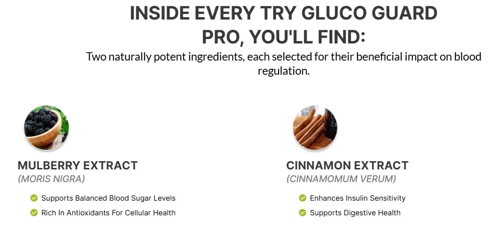 GlucoGuard Pro-potent ingredients