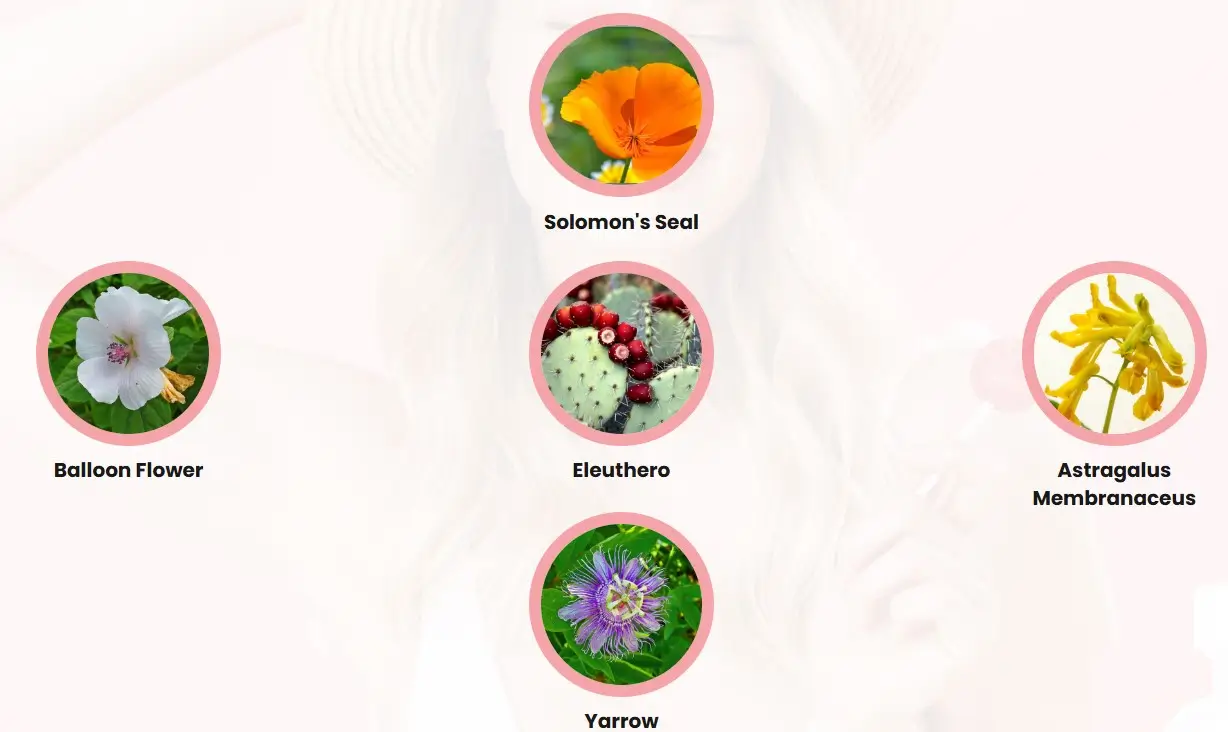 GlycoAid-Ingredients