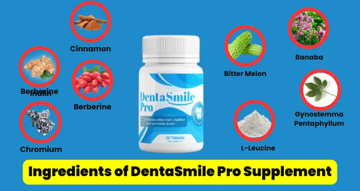 Ingredients of DentaSmile Pro Supplement