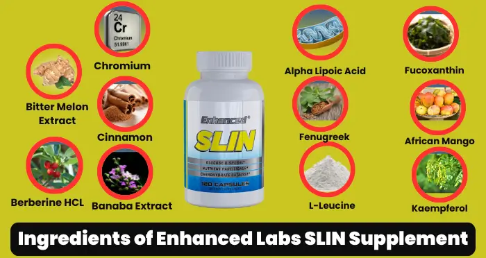 Ingredients of Enhanced Labs SLIN Supplement