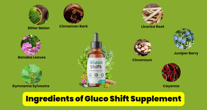 Ingredients of Gluco Shift Supplement