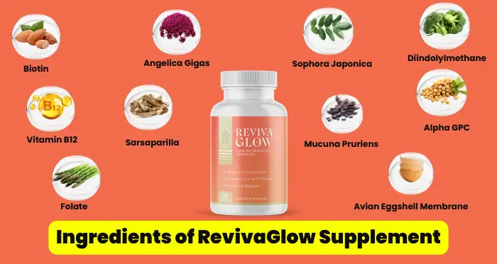 Ingredients of RevivaGlow Supplement