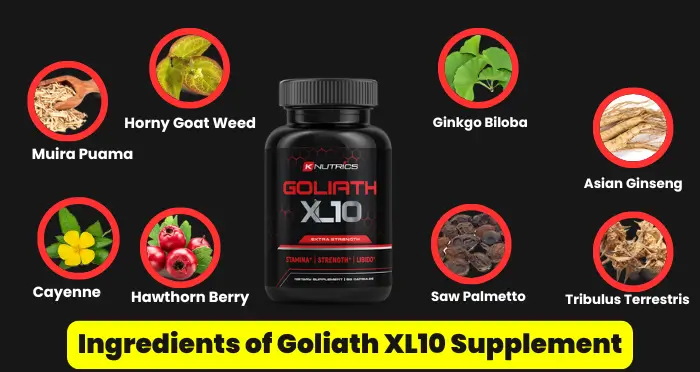 Ingredients of Goliath XL10 Supplement