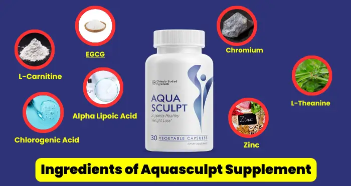 Ingredients of Aquasculpt Supplement