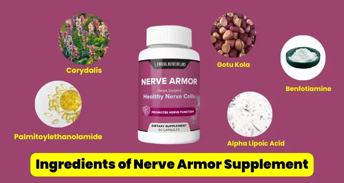 Ingredients of Nerve Armor Supplement