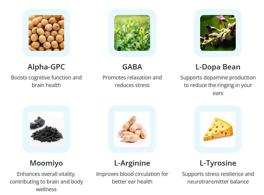 Ingredients of Tinnitrol Supplement