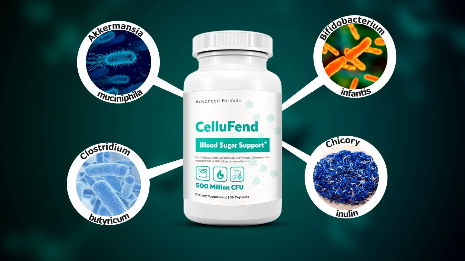Cellufend-Ingredients