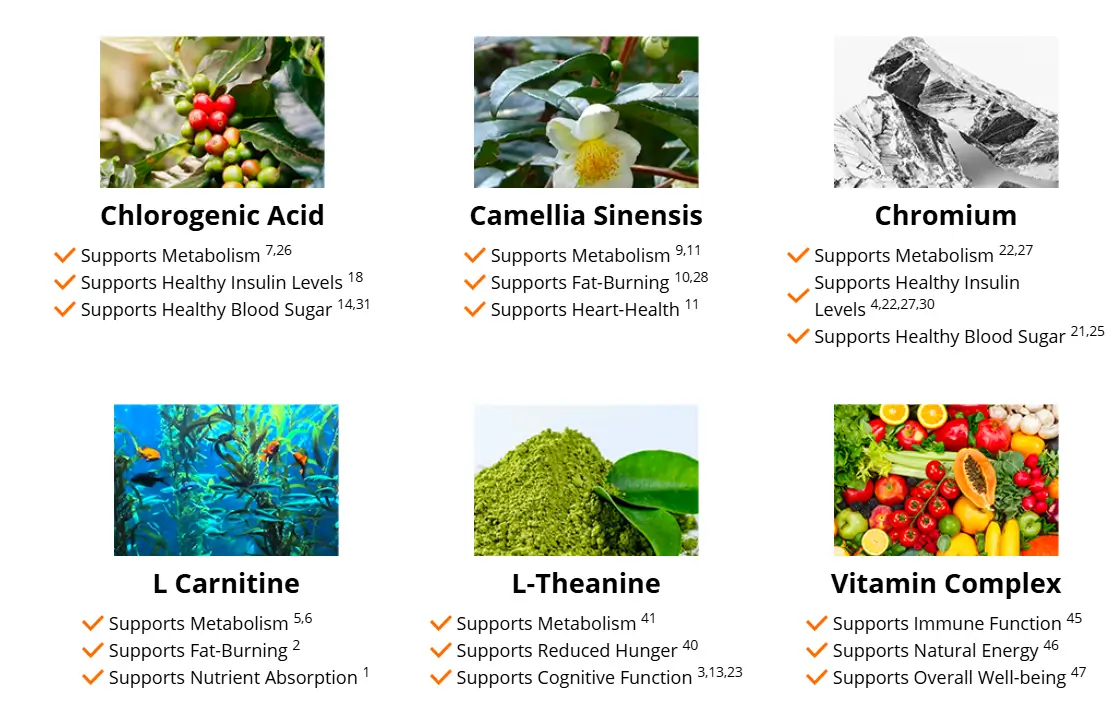 Java Burn-proprietary formula